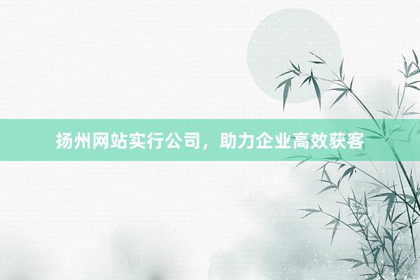 扬州网站实行公司,助力企业高效获客